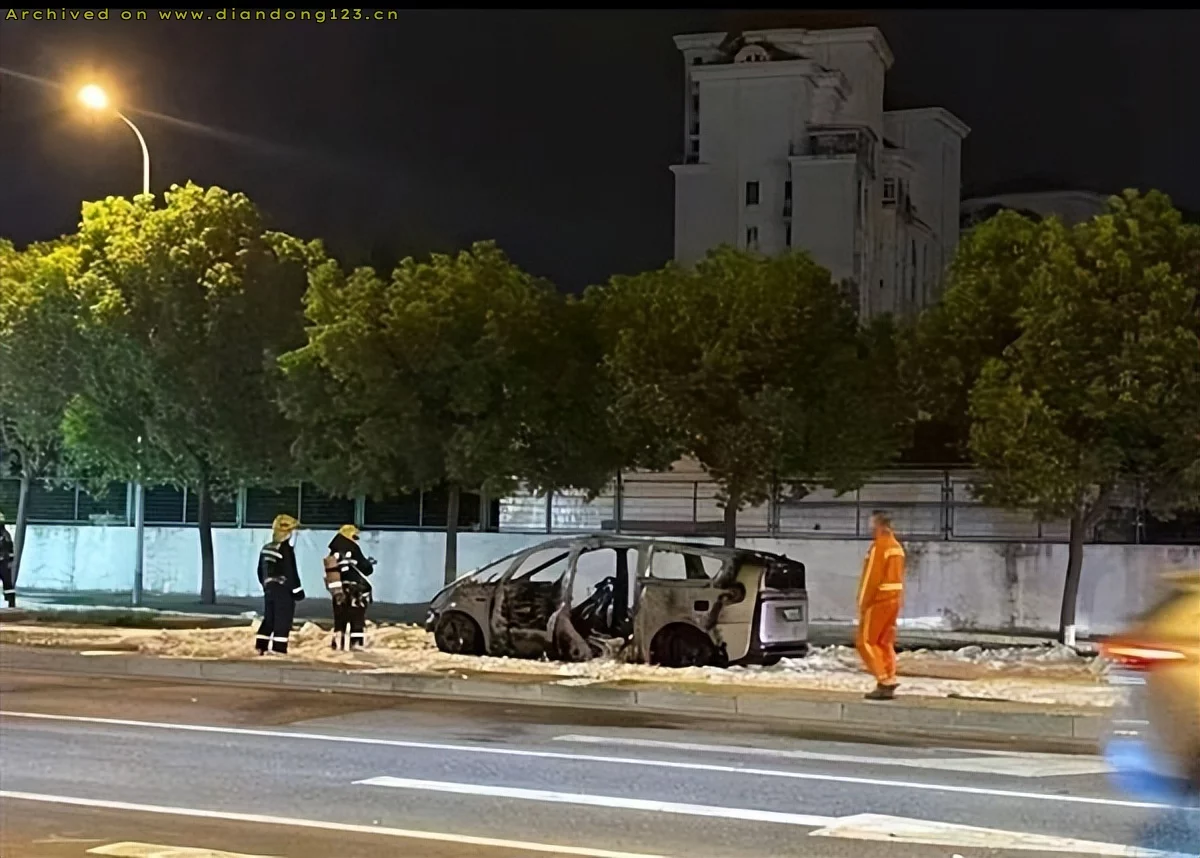 理想汽车：召回所有MEGA - Image 5