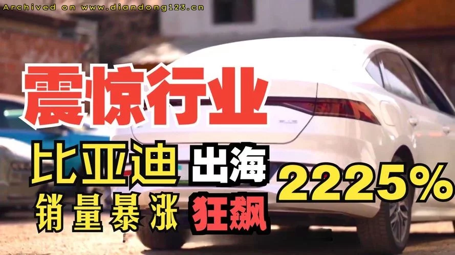 比亚迪在德国卖爆？老外排队购中国电车？ - Image 13