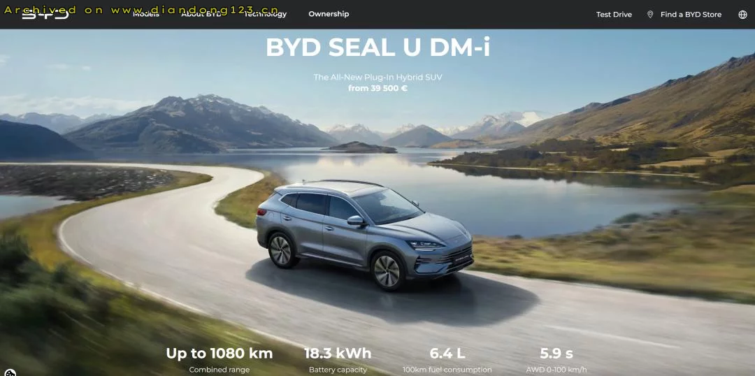 比亚迪国内销量放缓,海外市场加速增长 - Image 7