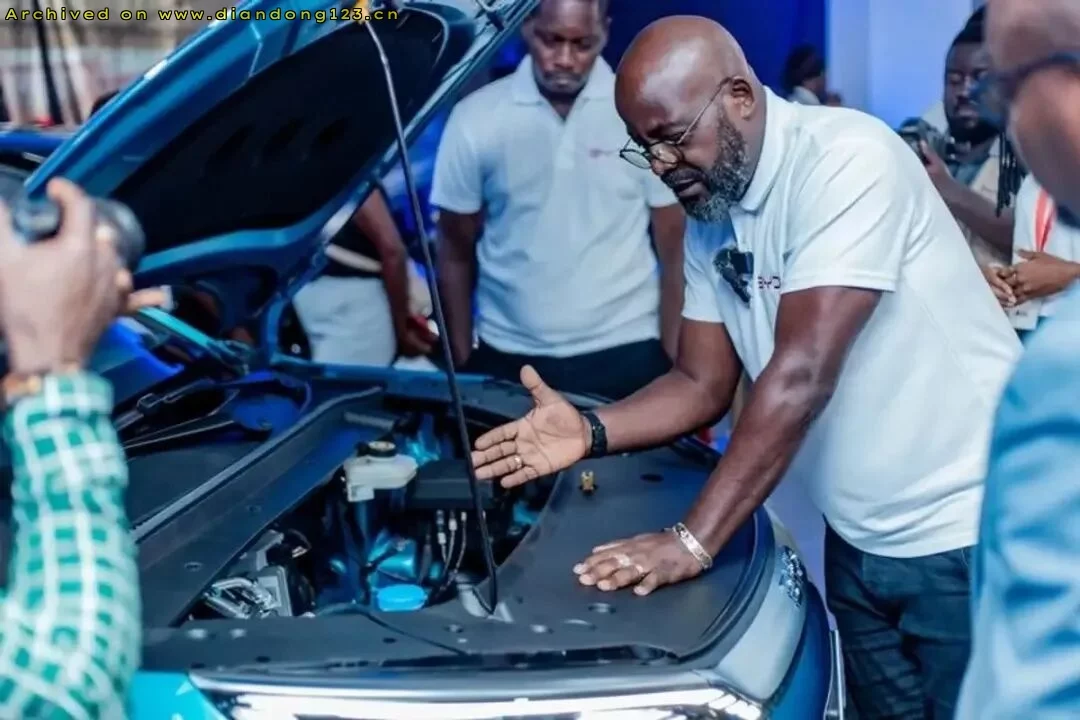 比亚迪国内销量放缓,海外市场加速增长 - Image 8