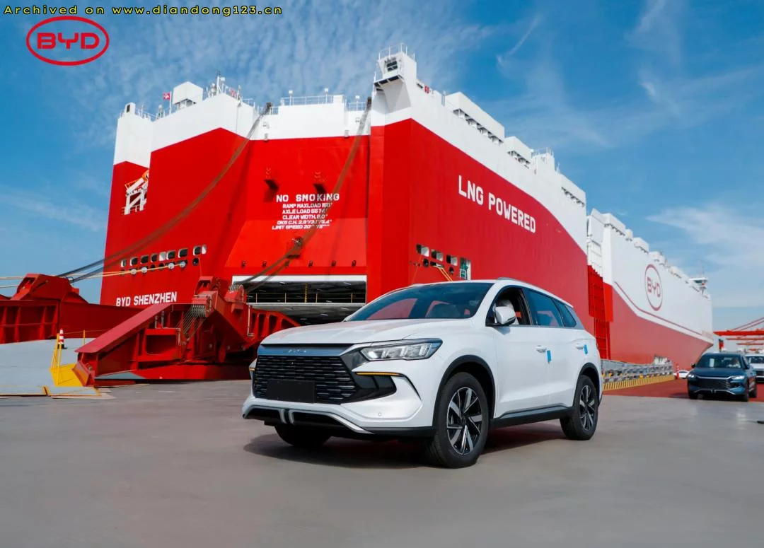 比亚迪国内销量放缓,海外市场加速增长 - Image 5