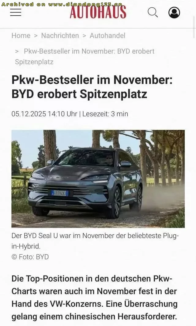 比亚迪国内销量放缓,海外市场加速增长 - Image 10