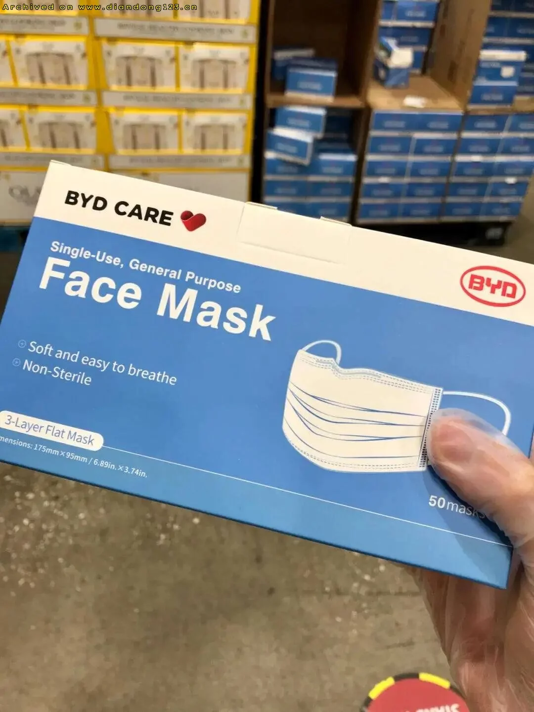 比亚迪国内销量放缓,海外市场加速增长 - Image 14