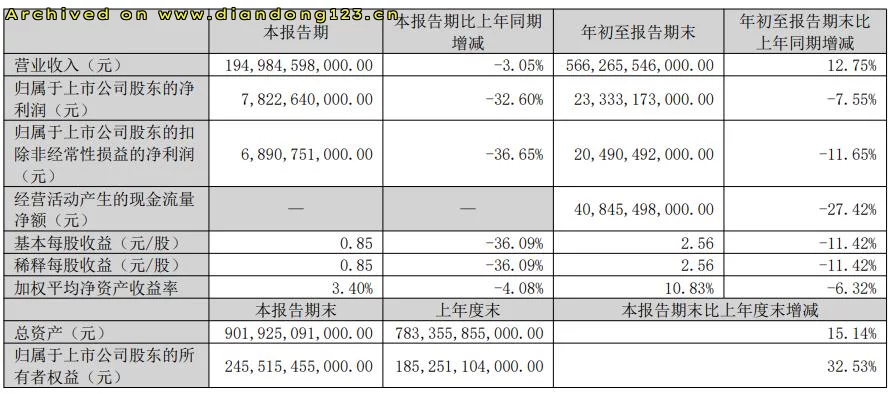 比亚迪国内销量放缓,海外市场加速增长 - Image 15