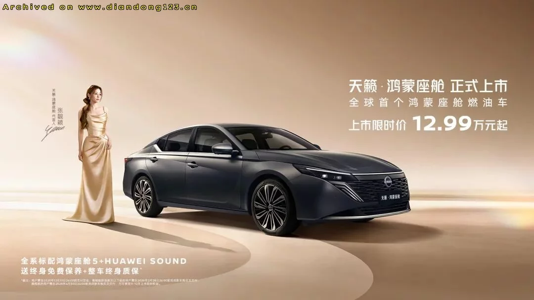 比亚迪国内销量放缓,海外市场加速增长 - Image 4