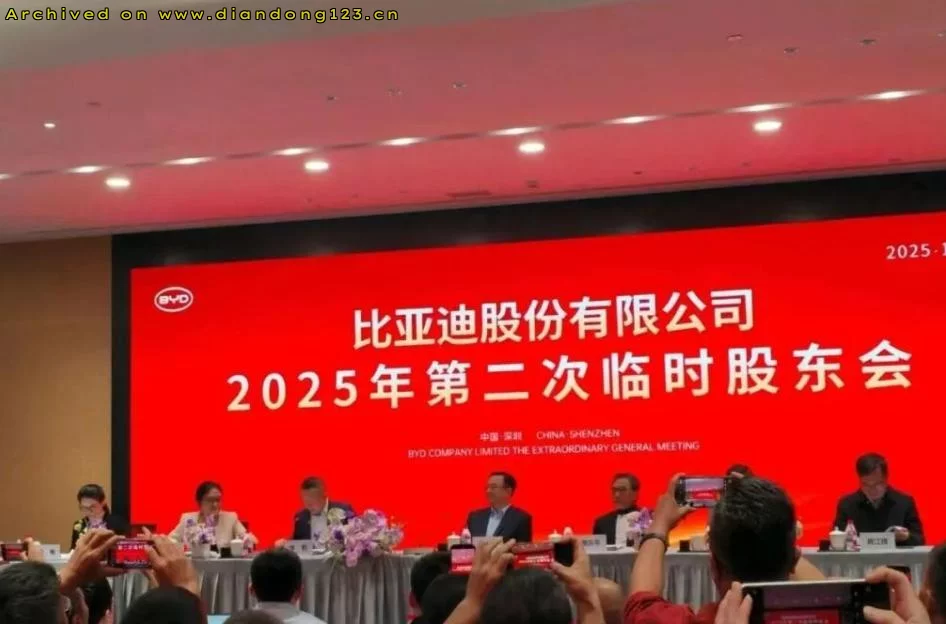 比亚迪国内销量放缓,海外市场加速增长 - Image 12