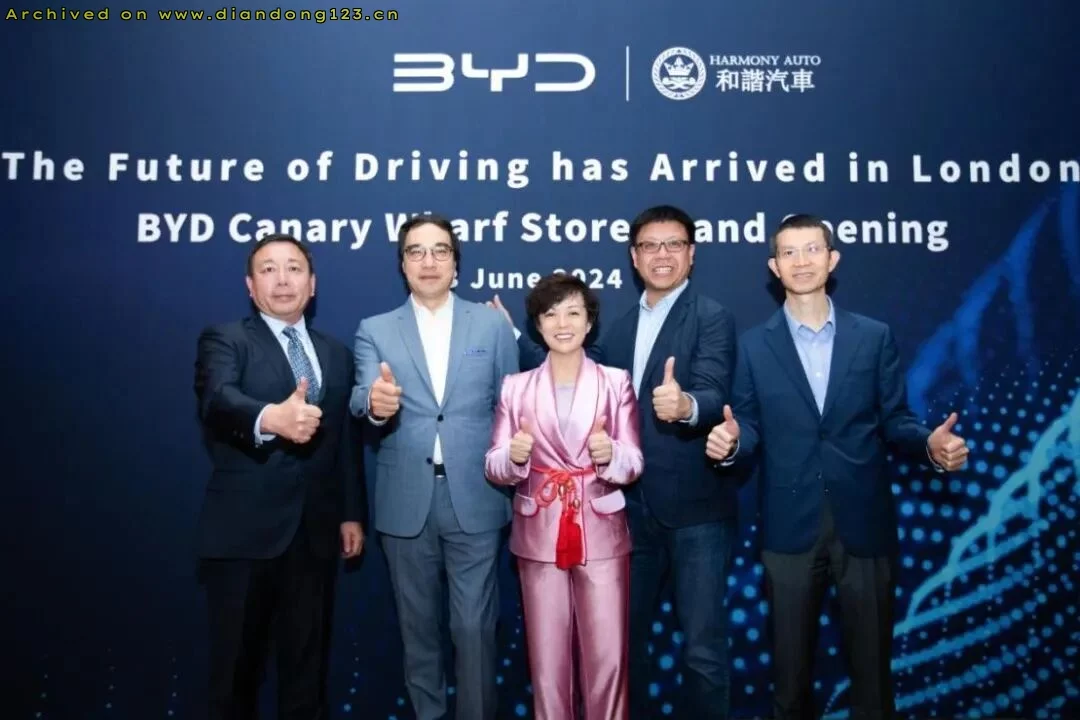 比亚迪国内销量放缓,海外市场加速增长 - Image 9